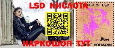 стафф Гусев