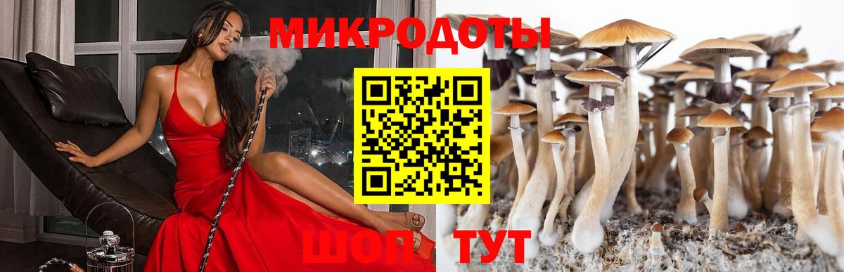 Зеленокумск  Псилоцибиновые грибы GOLDEN TEACHER  Вход с VPN  Псилоцибиновые грибы GOLDEN TEACHER 